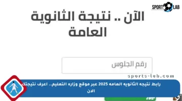 رابط نتيجة الثانوية العامة 2025 عبر موقع وزارة التعليم.. اعرف نتيجتك الآن